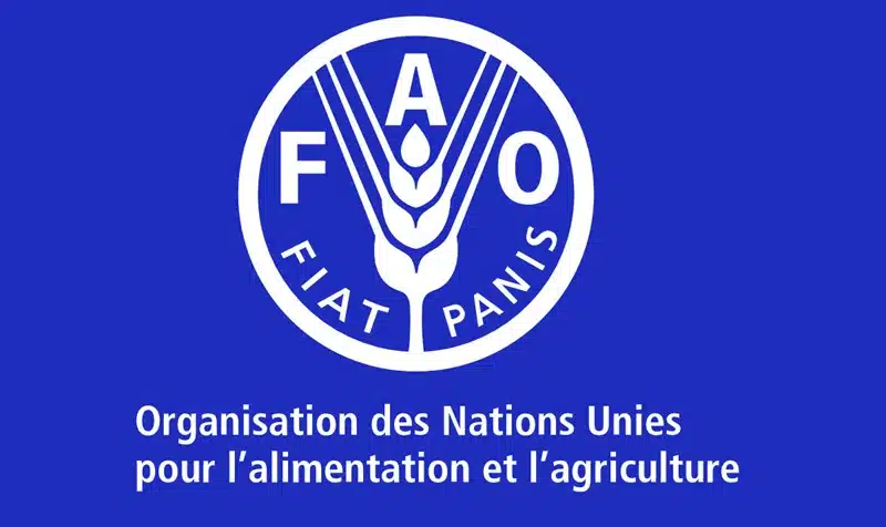 ONG International FAO recrute 01 Coordinateurtrice nationale de projet 01 juillet 2026
