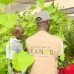 Le Cabinet CANAS recrute 02 Enquêteurs H/F