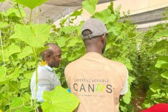 Le Cabinet CANAS recrute 02 Enquêteurs H/F