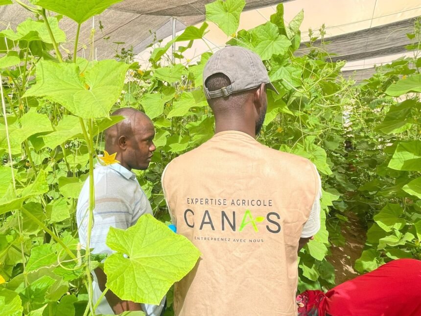 Le Cabinet CANAS recrute 02 Enquêteurs H/F