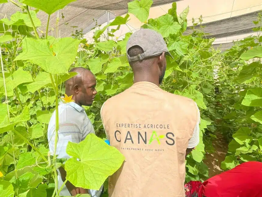 Le Cabinet CANAS recrute 02 Enquêteurs H/F